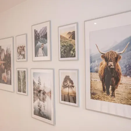 Ronacher * 이븐임포구아